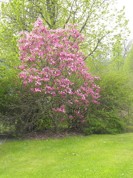DSCN0343